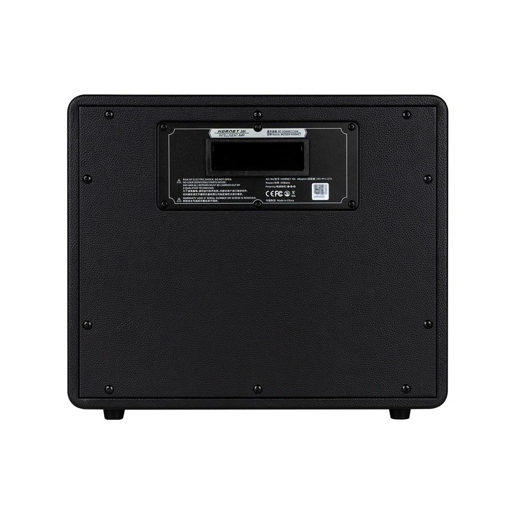 Mooer Hornet 30i Intelligent Amplifiers